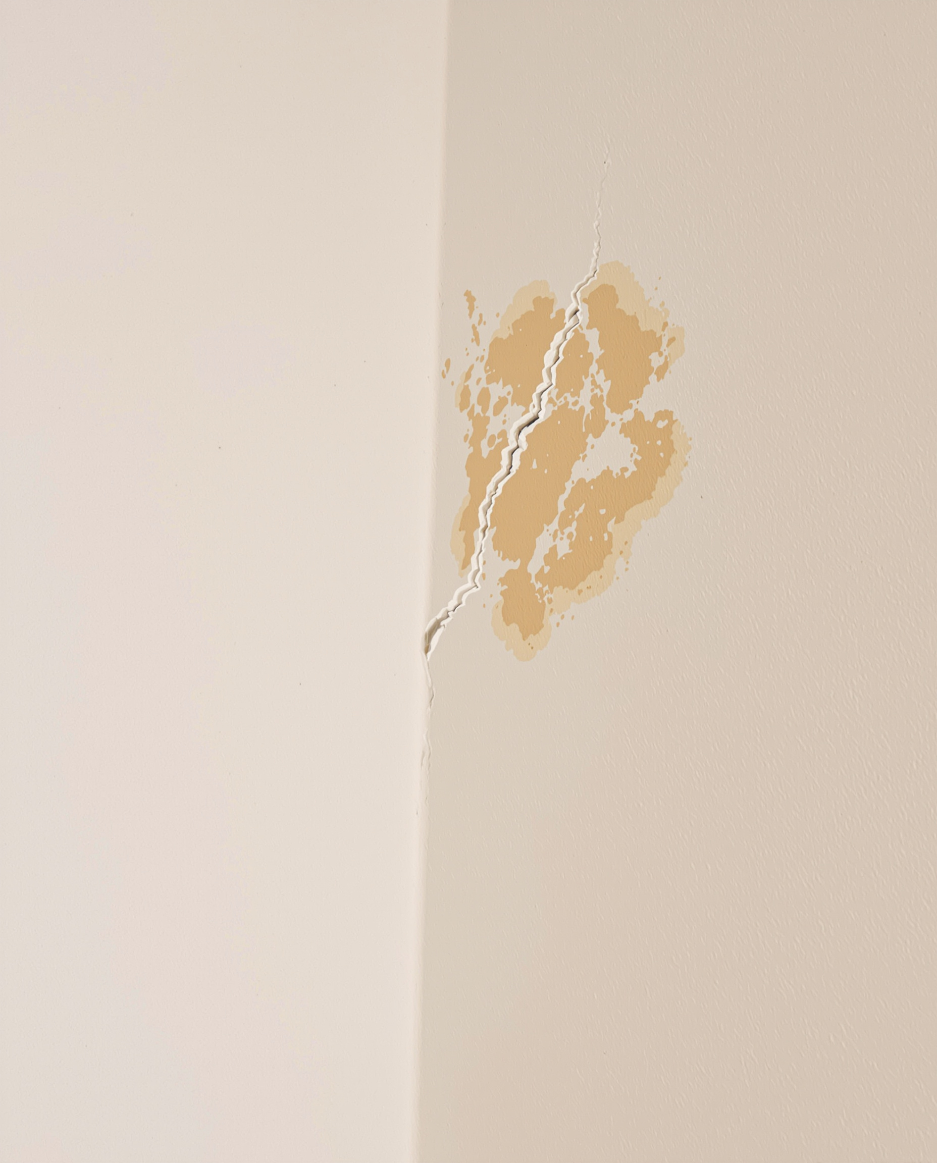 Fissure et humidité appartement parisien inspection visuelle